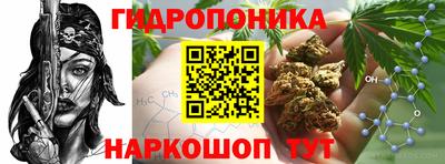 PSILOCYBIN Краснодар